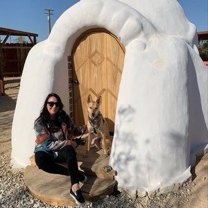 Meet your Posher, Mendy